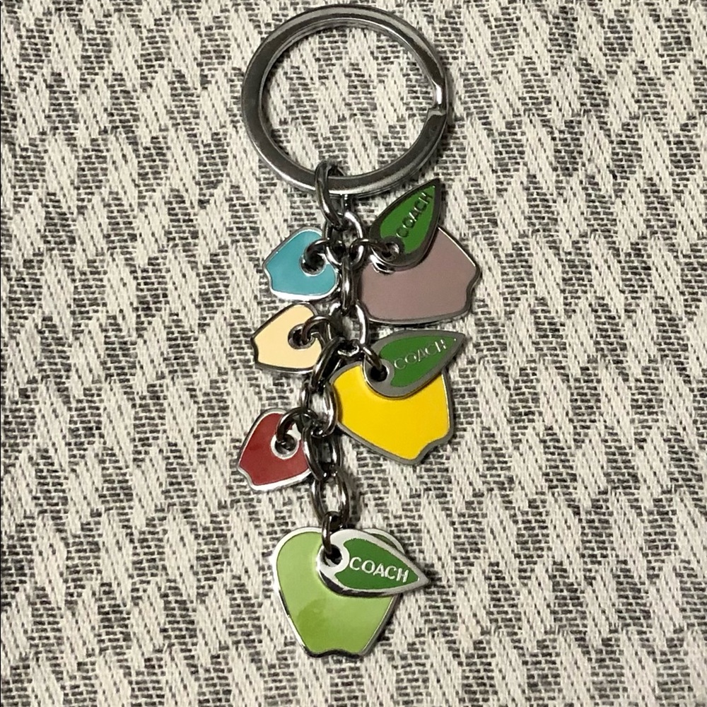 Coach Multicolor Leaf Keychain - image 1